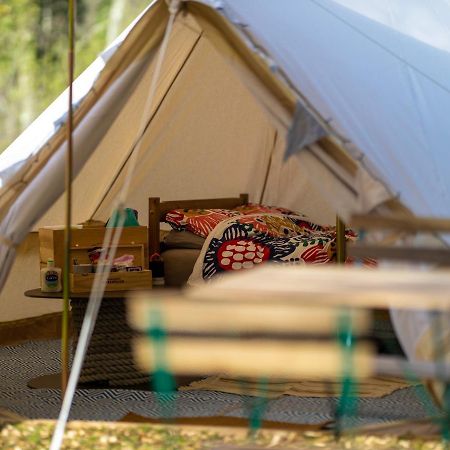 Naturally Glamping Kingsteignton Εξωτερικό φωτογραφία